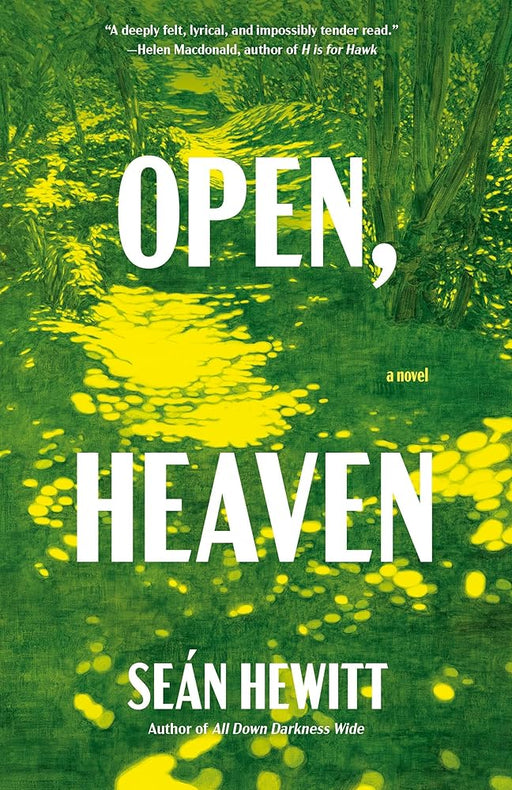 Open, Heaven: A Novel cover image