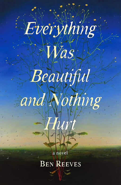 Everything Was Beautiful and Nothing Hurt: A Novel cover image