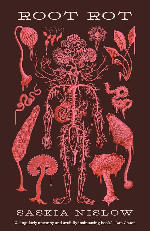 Root Rot cover image