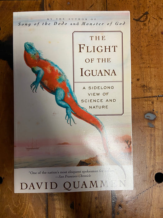 Flight of the Iguana